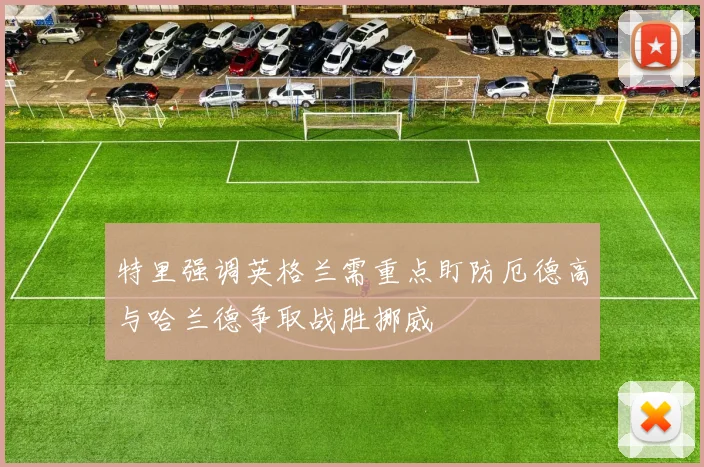 特里强调英格兰需重点盯防厄德高与哈兰德争取战胜挪威