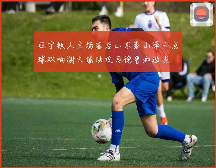 辽宁铁人主场落后山东泰山泽卡点球双响谢文能助攻马德鲁加造点
